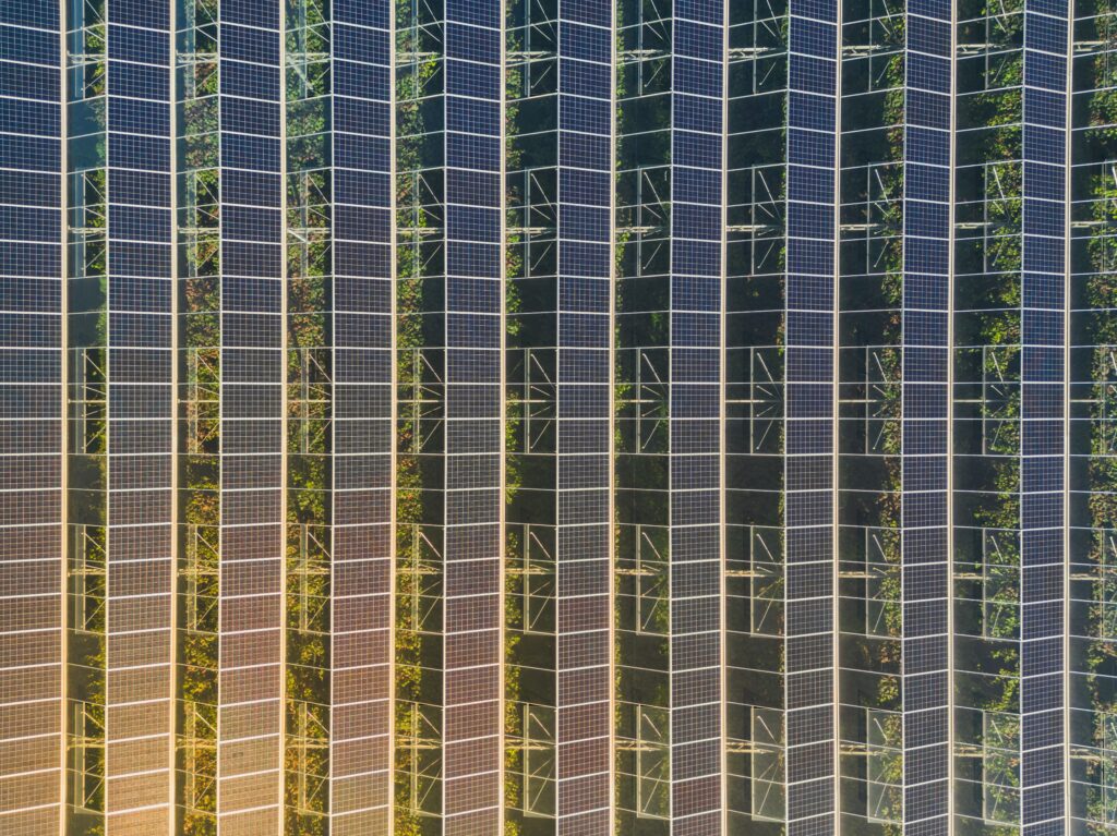 champs agricole avec serres photovoltaïques