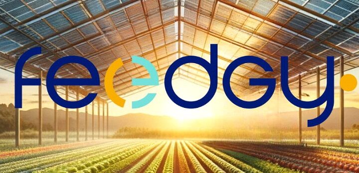 Premier panneau agrivoltaïque au monde, breveté et commercialisé par Feedgy